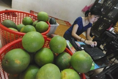 Ngại mua hàng trực tuyến vì sợ sản phẩm kém chất lượng